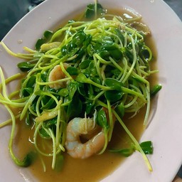 ต้นอ่อนทานตะวันผัด