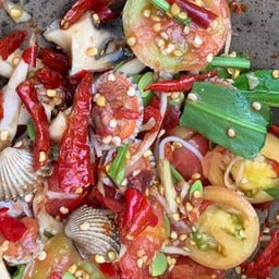 ตำป่าหอยแครง