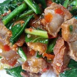 ผัดคะน้าราดข้าว