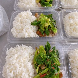 ข้าวคะน้าหมูกรอบ