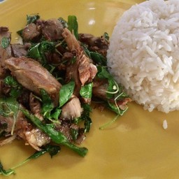 ข้าวราดผัดกะเพราเป็ด