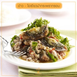 ข้าวราดไข่เยี่ยวม้ากระเพรากรอบ