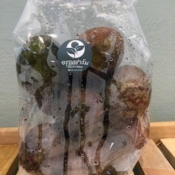 ฟาร์มอรุณ