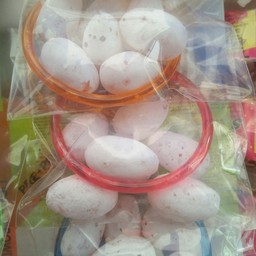 ไข่ไดโนเสา