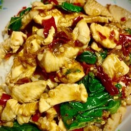 อู่ กะเพรา