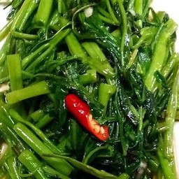 ผักบุ้งน้ำมันหอย