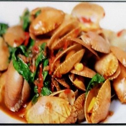 ผัดหอยลายพริกเผา