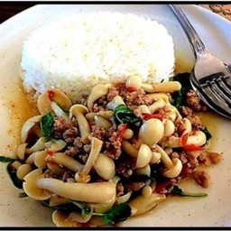 กระเพราเห็ดหมูสับราดข้าว