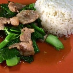 ข้าวราดผัดผักคะน้า