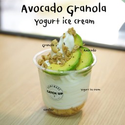 Avocado Granola Yogurt ice cream