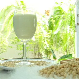 น้ำเต้าหู้ออแกนิก-เย็น