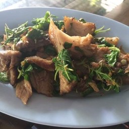 กะเพราขาหมู