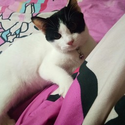 สาวสวยใจดีเป็นมิตรกับทุกคน