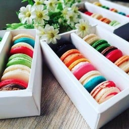 Caprice หางดง