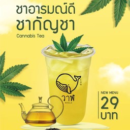 ชากัญชา