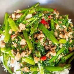 กระเพราบ้านสุ