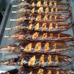 ปลาดุกย่าง