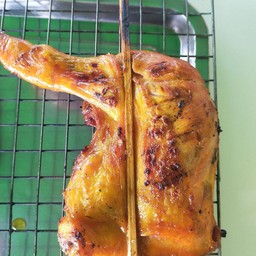 ปิ่งน่องไก่ใหญ