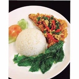 ข้าวหมูทอดซอสกะเพรา