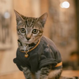 น้อล เดอร์ตี้