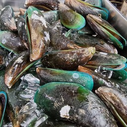 หอยแมงภู่อบ