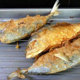 ปลาทูทอด