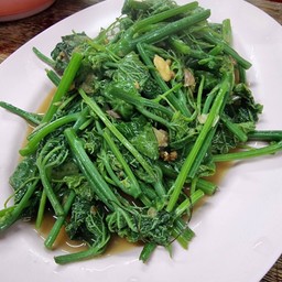 ผักแม้ว