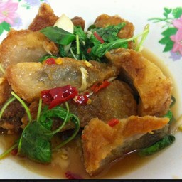 กะเพราหมูกรอบ