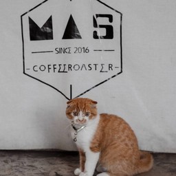 น้อล โอเปีย