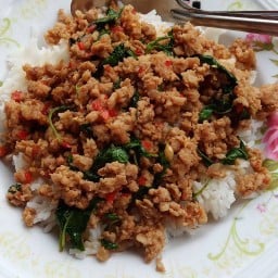 กระเพราจับกัง