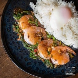 ข้าวกะเพรากุ้ง + ไข่ออนเซ็น