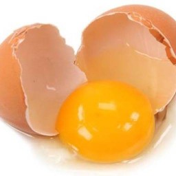 ร้านนี้มีเเต่ไข่