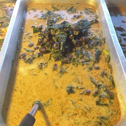 ร้านข้าวแกงป้าแจ๋วปักษ์ใต้