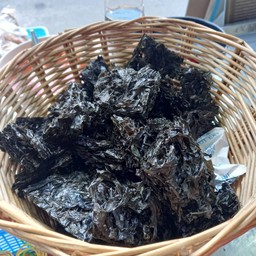 สาหร่าย