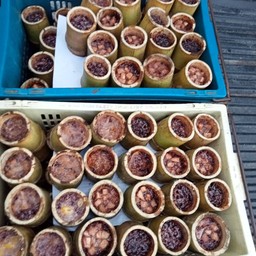 ร้านไอ้เก๋ขี้เมากะเพราผัด สาขา 1