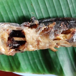 ปลาดุกย่าง
