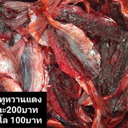 ปลาทูหวาน7ขีด