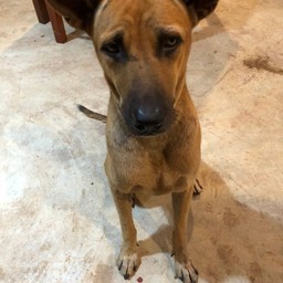 ให้ทิปพี่หล่อ