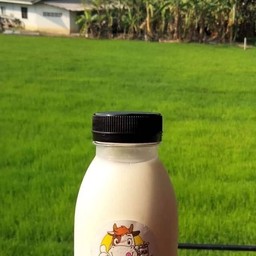 ร้านฟินหน้าฟาร์ม Fin@Farm Cafe@Restaurant