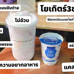 โยเกิร์ตสามช่า