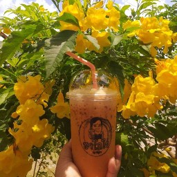 ร้านชาโกไข่  สาขาควนมะพร้าว