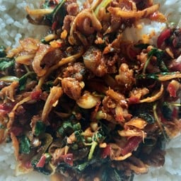 ผัดเผ็ดกบ