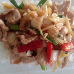 ผัดขิงหมูราดข้าว