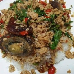 ผัดกะเพรา-ไข่เยี่ยวม้าราดข้าว(ไข่ไม่ทอด))