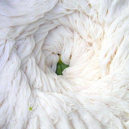 เส้นขนมจีน.