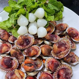 หอยแครงลวก วัดด่าน50