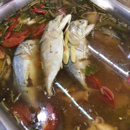 ปลาทูต้มแซบ