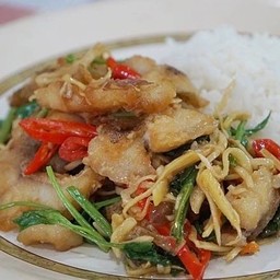 ปลากระพงผัดคื่นฉ่ายราดข้าว