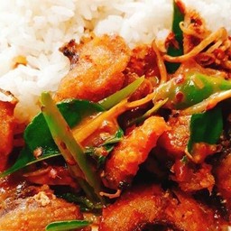 ผัดพริกแกงปลากระพงราดข้าว