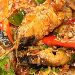 ผัดเผ็ดปลากระพงราดข้าว